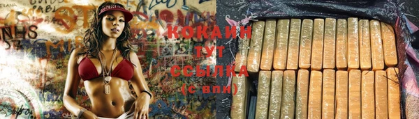тгк Коряжма