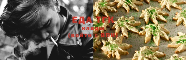 тгк Коряжма