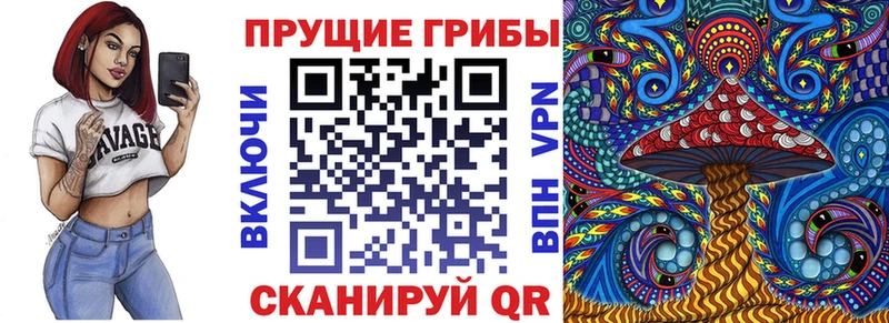 Псилоцибиновые грибы Magic Shrooms  Купить закладки  Прокопьевск 