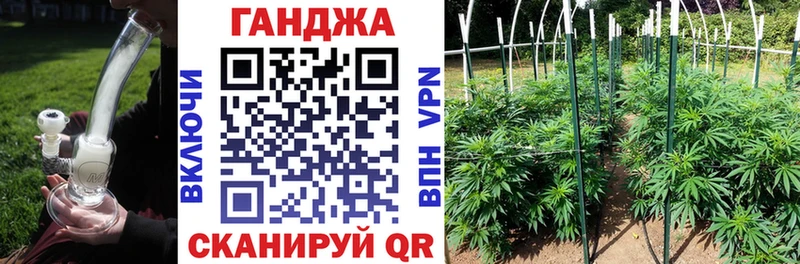 Бошки Шишки семена Прокопьевск